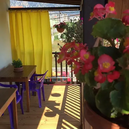 Guest house Foleja