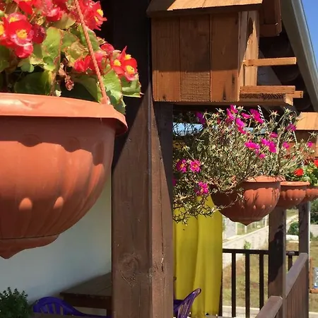 Foleja Guest house